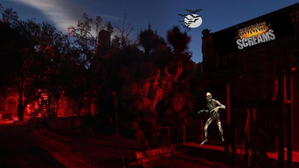 Asylum Hotel Fear Las Vegas Reviews Asylum Hotel Fear Las Vegas Reviews